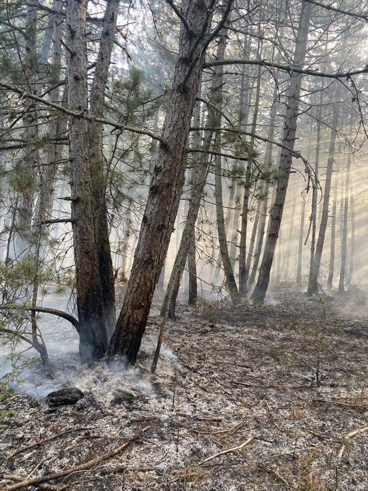 Kastamonu'da çıkan orman yangını kontrol altına alındı G1