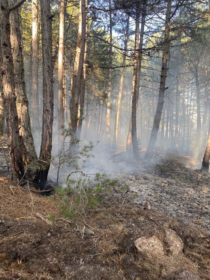 Kastamonu'da çıkan orman yangını kontrol altına alındı G2