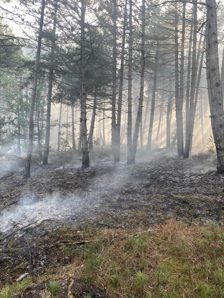 Kastamonu'da çıkan orman yangını kontrol altına alındı G3