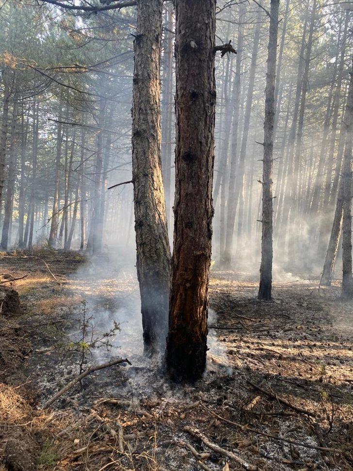 Kastamonu'da çıkan orman yangını kontrol altına alındı G4