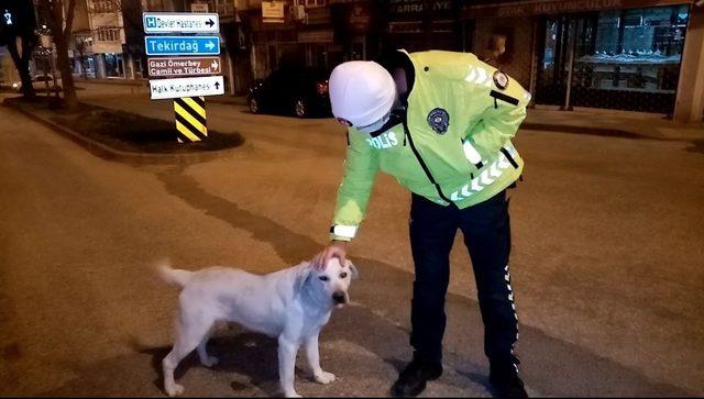 Polisin köpeğe şefkati yürekleri ısıttı