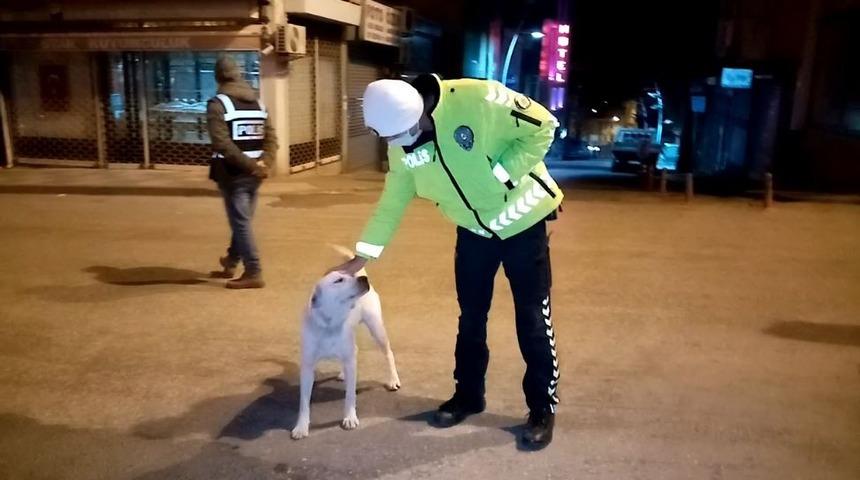 Polisin k&ouml;peğe şefkati y&uuml;rekleri ısıttı