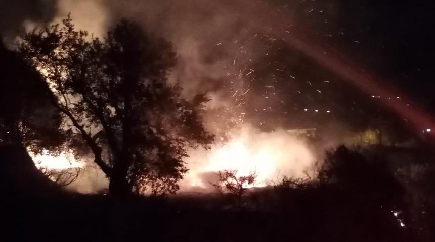 Samandağ&rsquo;da zeytinlik yangını
