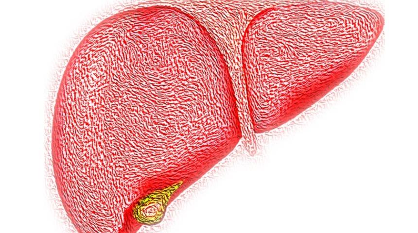 GGT değeri nedir? GGT yüksekliğinin nedenleri nelerdir?  Sağlıklı bireylerde GGT değeri kaç olmalıdır?