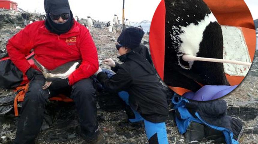 Türk bilim insanı Antarktika seferinde keşfetti: Dünyada henüz tanımlanmamış