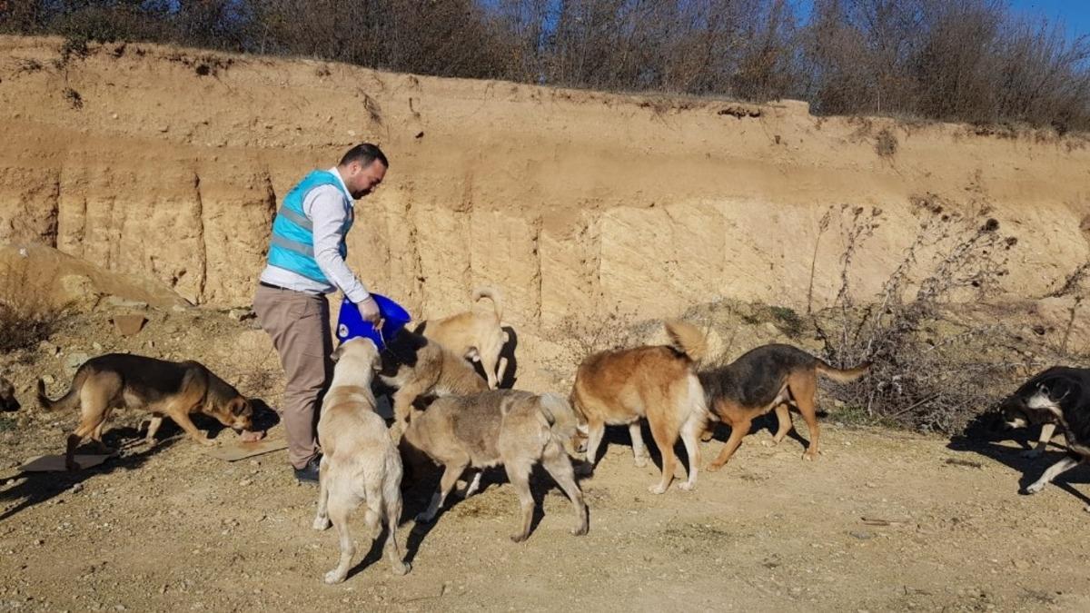 Yeni yıla da anlam kattılar