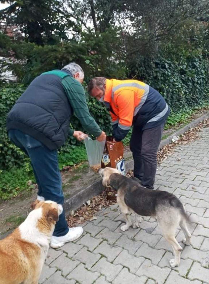 Akçakoca Belediyesinden sokak hayvanlarına mama desteği G2