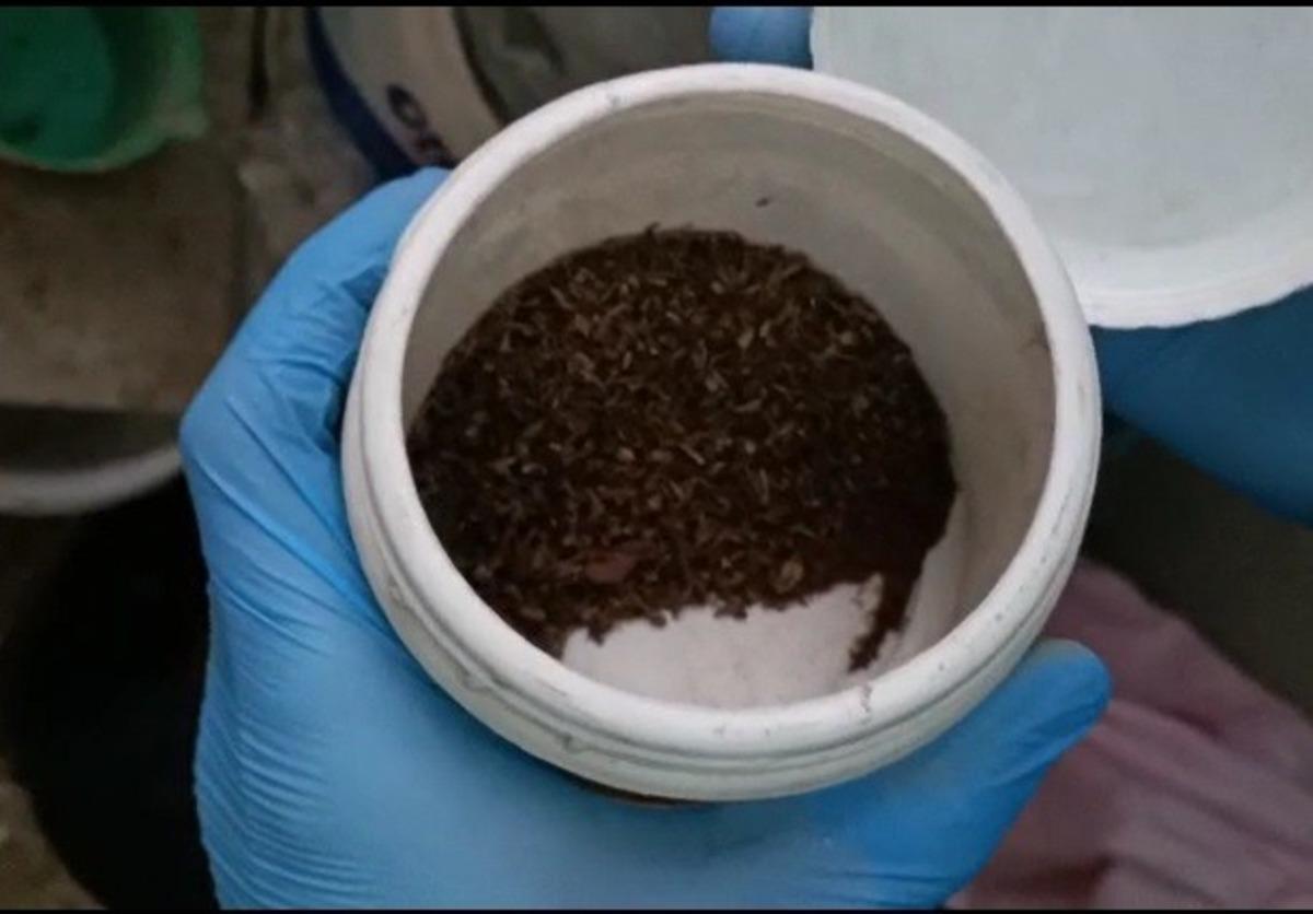 Uyuşturucudan yakalanan 3 kişiye adli kontrol