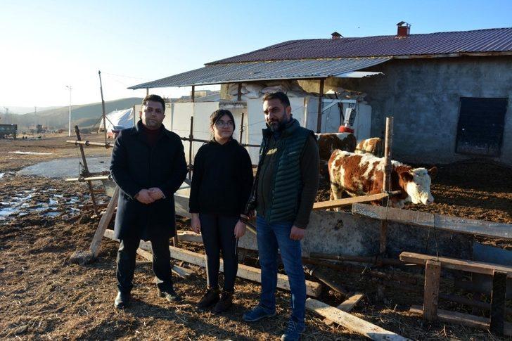 12 yaşındaki kız, biriktirdiği harçlıklarla 3 buzağı alıp çiftçiliğe atıldı G4