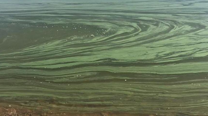 Su kaynaklarında siyanotoksin tehlikesi: Yetkililer &ouml;nlem almalı
