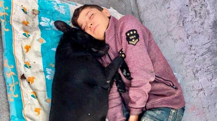 Bu dostluk g&ouml;zlerimizi yaşarttı: Suriyeli Hasan sokak k&ouml;peği Zeytin'i ailesi yerine koydu