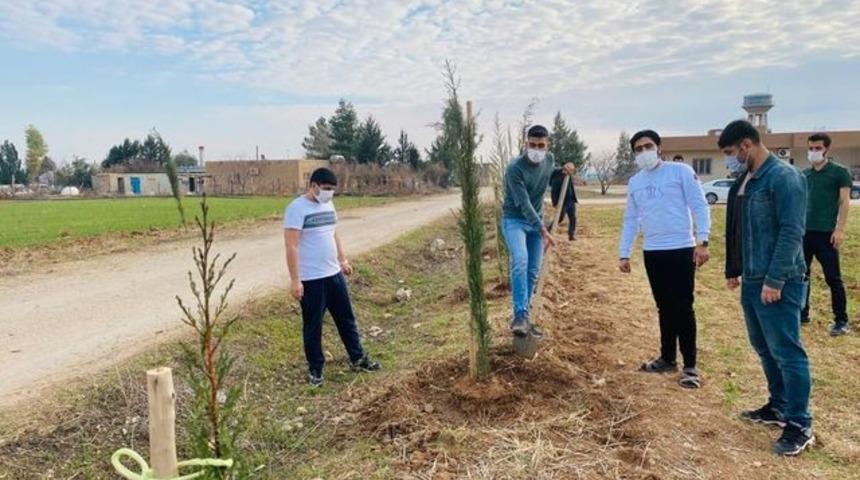 Çiftçiler sosyal medya üzerinden organize olup, kısıtlamada çam fidanı dikti