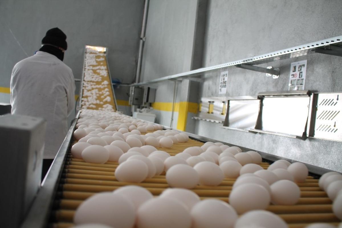 Midyat&rsquo;tan d&uuml;nyaya a&ccedil;ılan kapı  &lsquo;NurEgg Yumurta&rsquo;