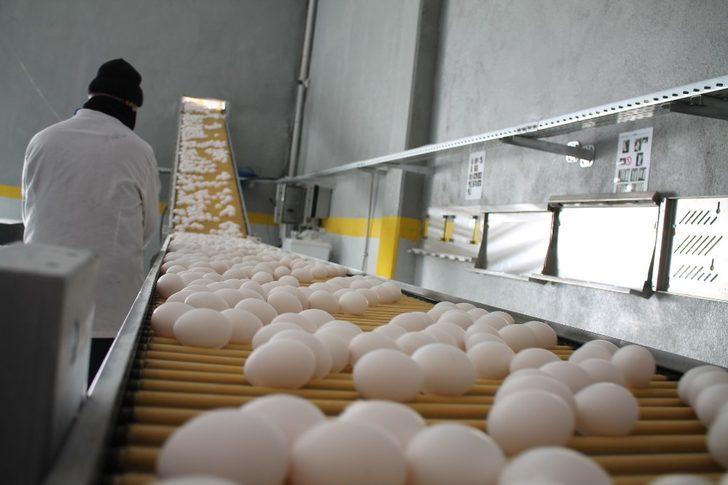 Midyat’tan dünyaya açılan kapı  ‘NurEgg Yumurta’ G1