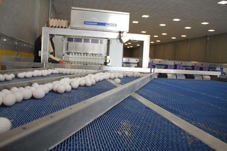 Midyat’tan dünyaya açılan kapı  ‘NurEgg Yumurta’ G2