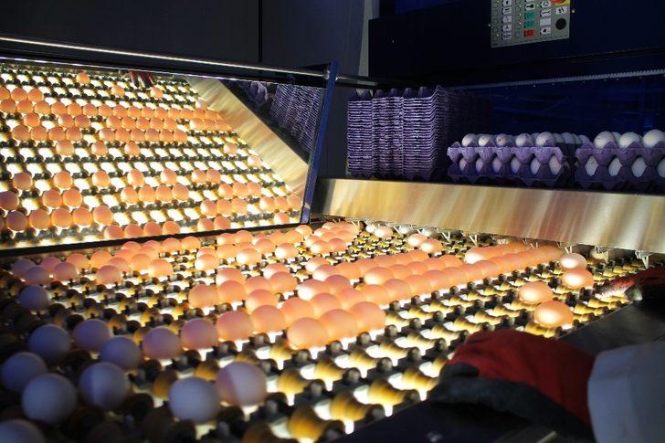 Midyat’tan dünyaya açılan kapı  ‘NurEgg Yumurta’ G3