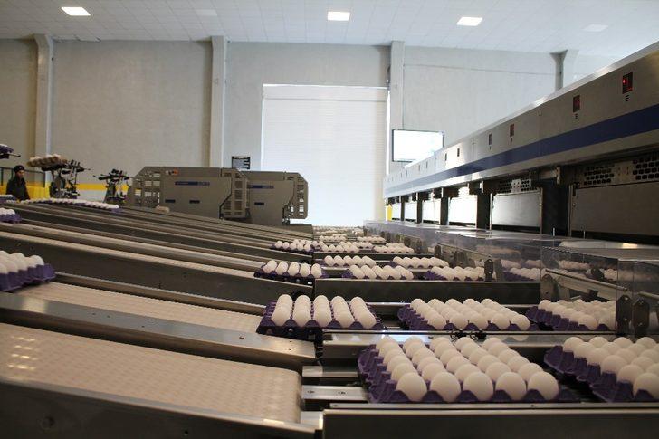 Midyat’tan dünyaya açılan kapı  ‘NurEgg Yumurta’ G4