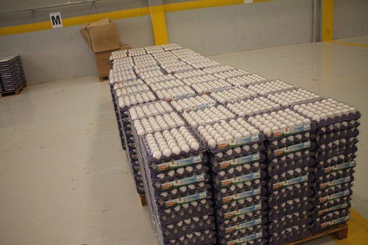 Midyat’tan dünyaya açılan kapı  ‘NurEgg Yumurta’ G5