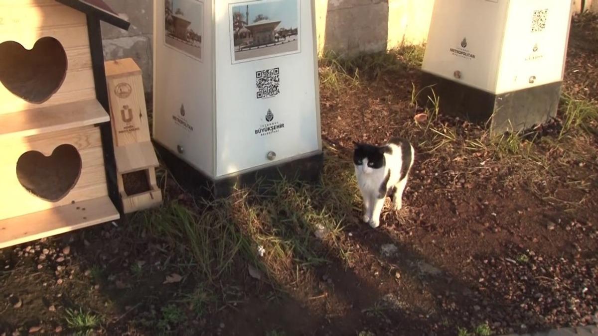 &Uuml;sk&uuml;dar Belediyesi yeni yılın ilk g&uuml;n&uuml;nde minik dostları unutmadı