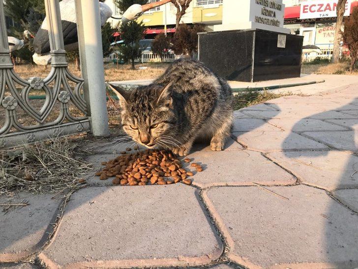 Kısıtlamada aç kalan minik dostlar unutulmadı G3