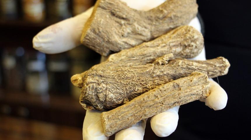 Kilosu 250 liradan satılıyor! Yery&uuml;z&uuml;n&uuml;n en g&uuml;&ccedil;l&uuml; antibiyotiği: Udi hindi