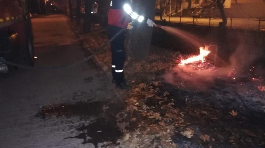 Yaprak yangını b&uuml;y&uuml;meden s&ouml;nd&uuml;r&uuml;ld&uuml;