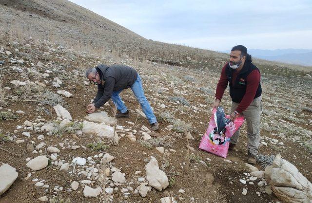 Yaban hayvanlarına yem bırakıldı