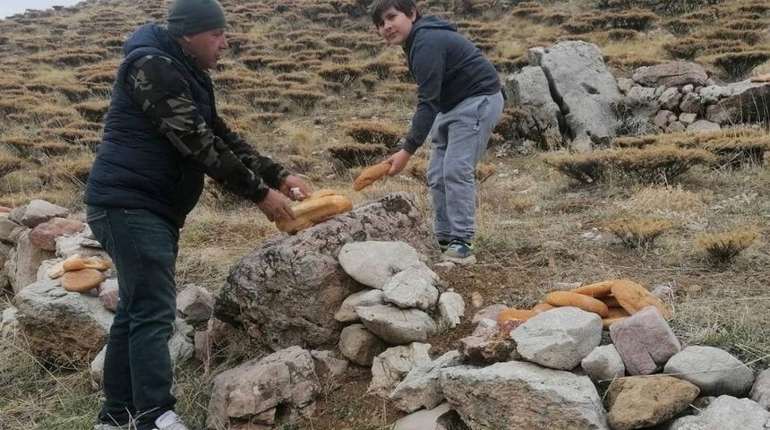 Yaban hayvanlarına yem bırakıldı