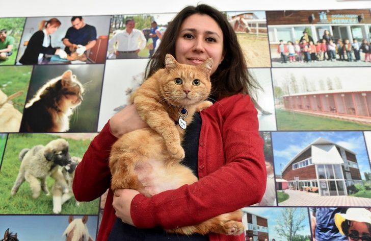 Sokak hayvanları sıcak yuvaya kavuşuyor G2