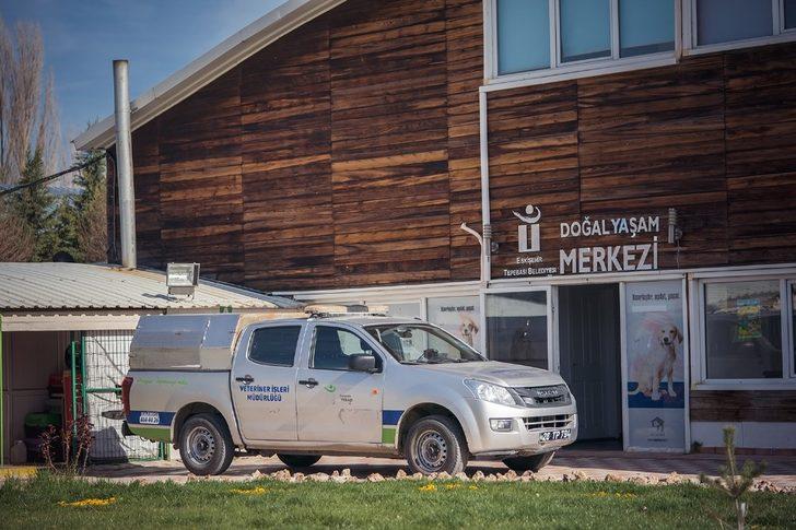 Sokak hayvanları sıcak yuvaya kavuşuyor G3