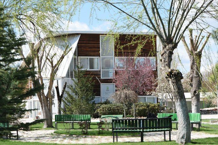 Sokak hayvanları sıcak yuvaya kavuşuyor G5