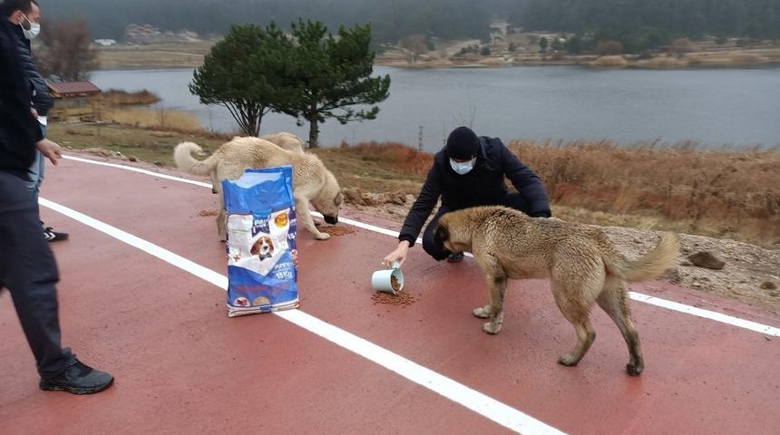 G&ouml;lc&uuml;k mesire alanındaki hayvanlar unutulmadı