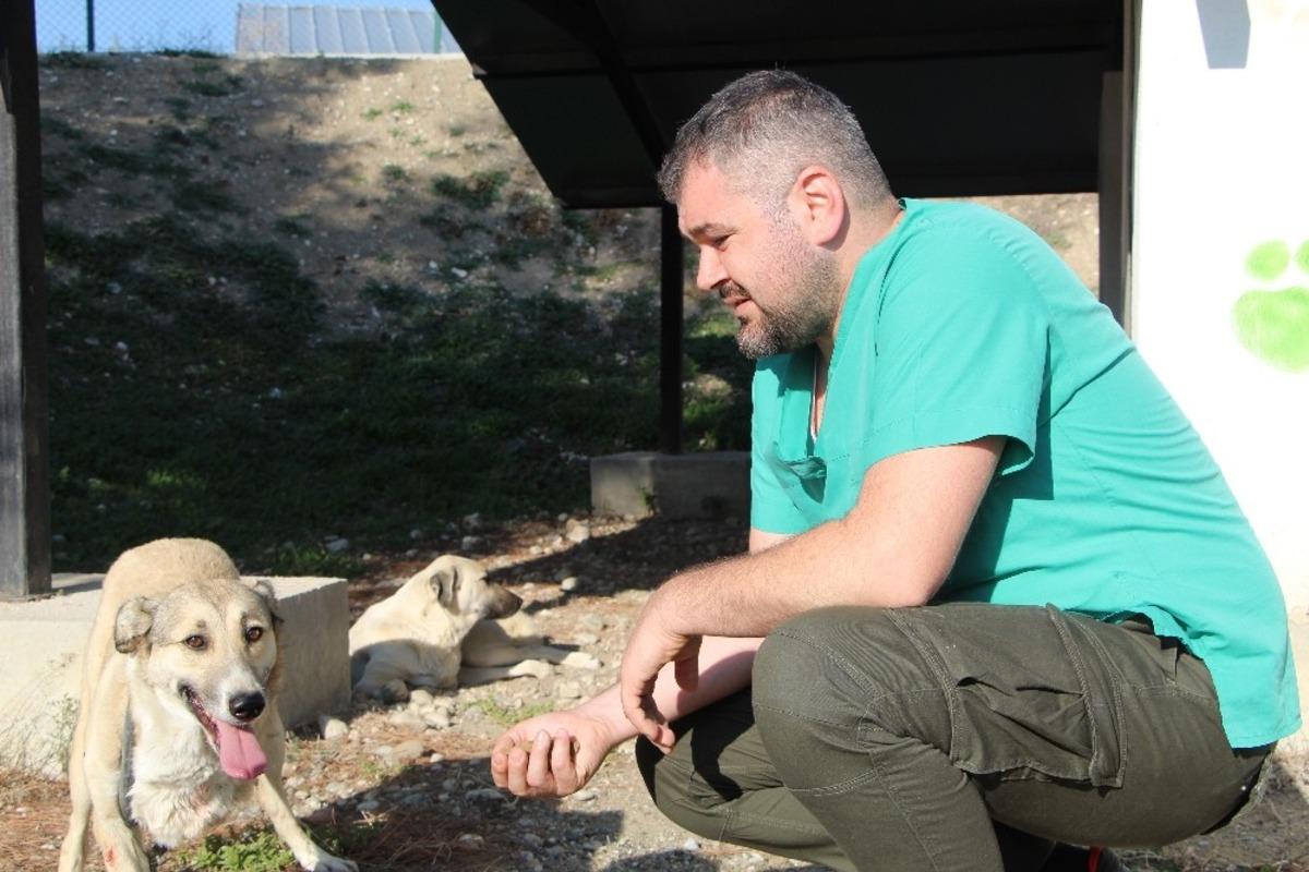2 aylık iken yaralı bulunan Lady, 5 yıl sonra yuvaya d&ouml;nd&uuml;