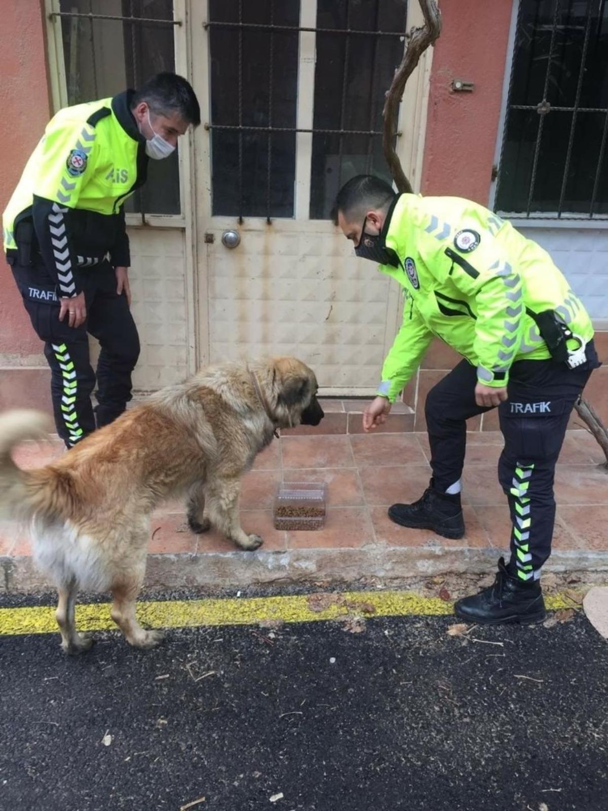 Eşme&rsquo;de sokak hayvanları beslendi