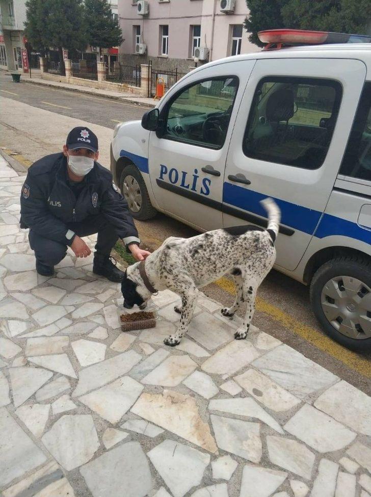 Eşme’de sokak hayvanları beslendi G2