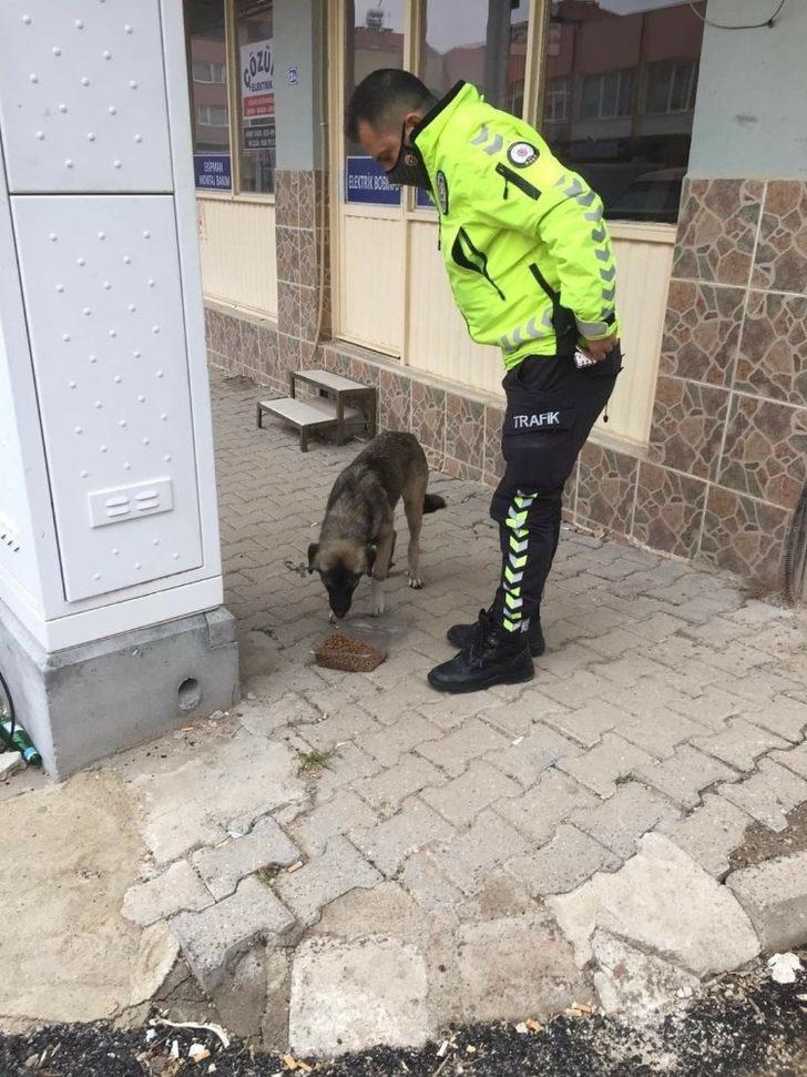 Eşme’de sokak hayvanları beslendi G3