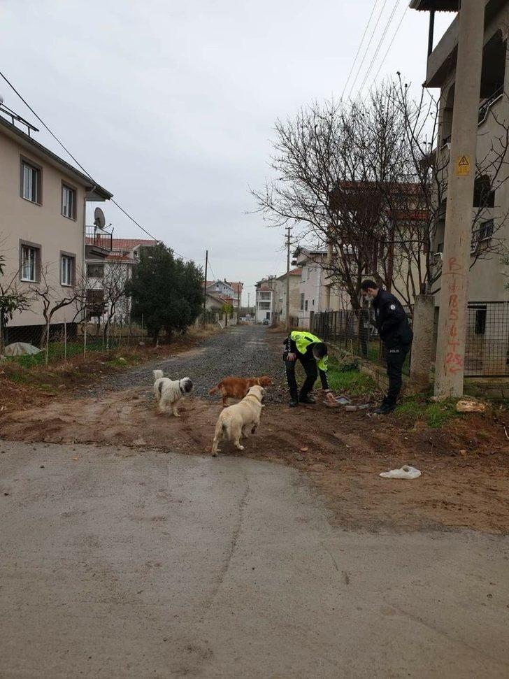 Eşme’de sokak hayvanları beslendi G4