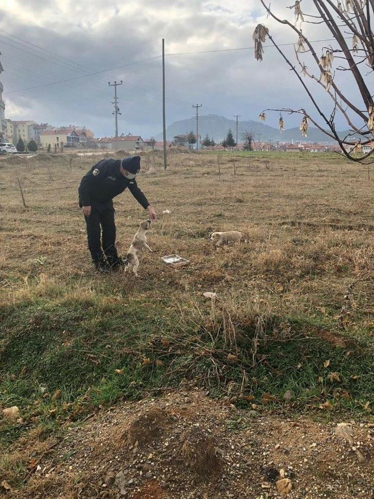 Eşme’de sokak hayvanları beslendi G5