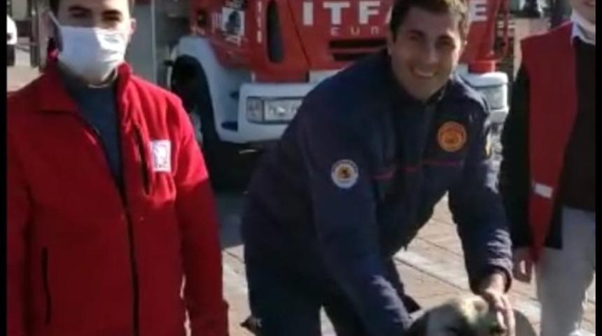 İtfaiye yeni yılın ilk canlısını kurtardı