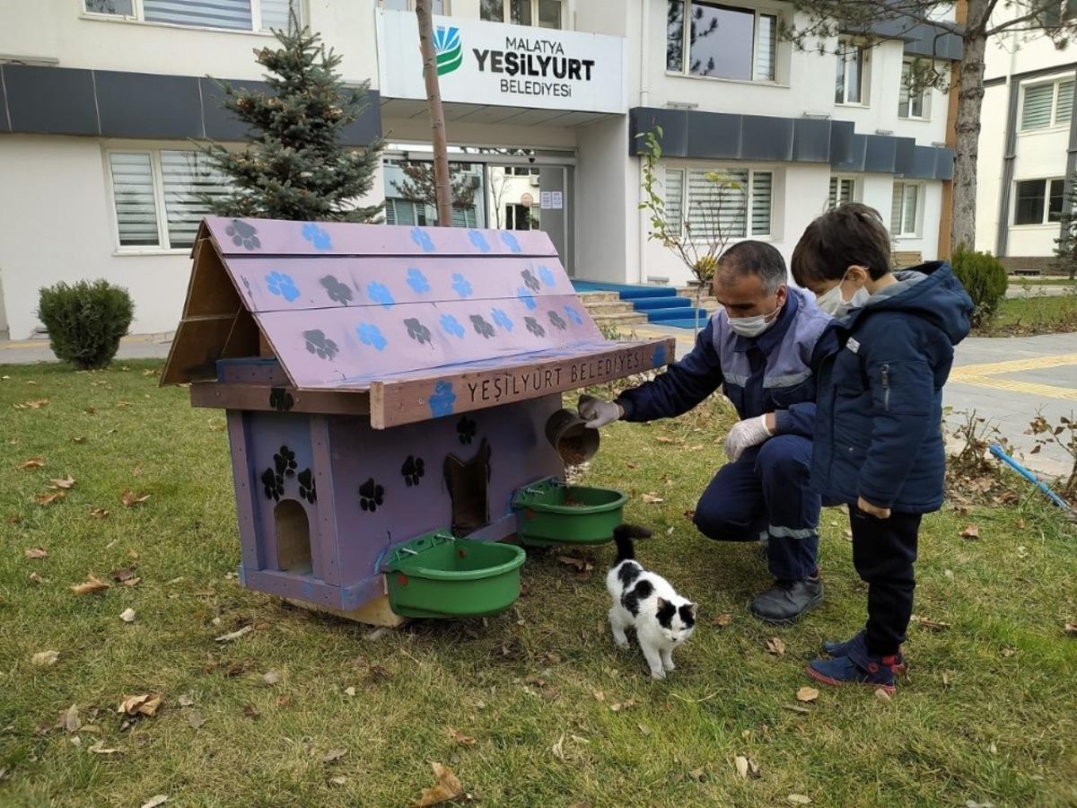 Yeşilyurt&rsquo;ta sokak hayvanları i&ccedil;in Kedi ve K&ouml;pek Evler Projesi