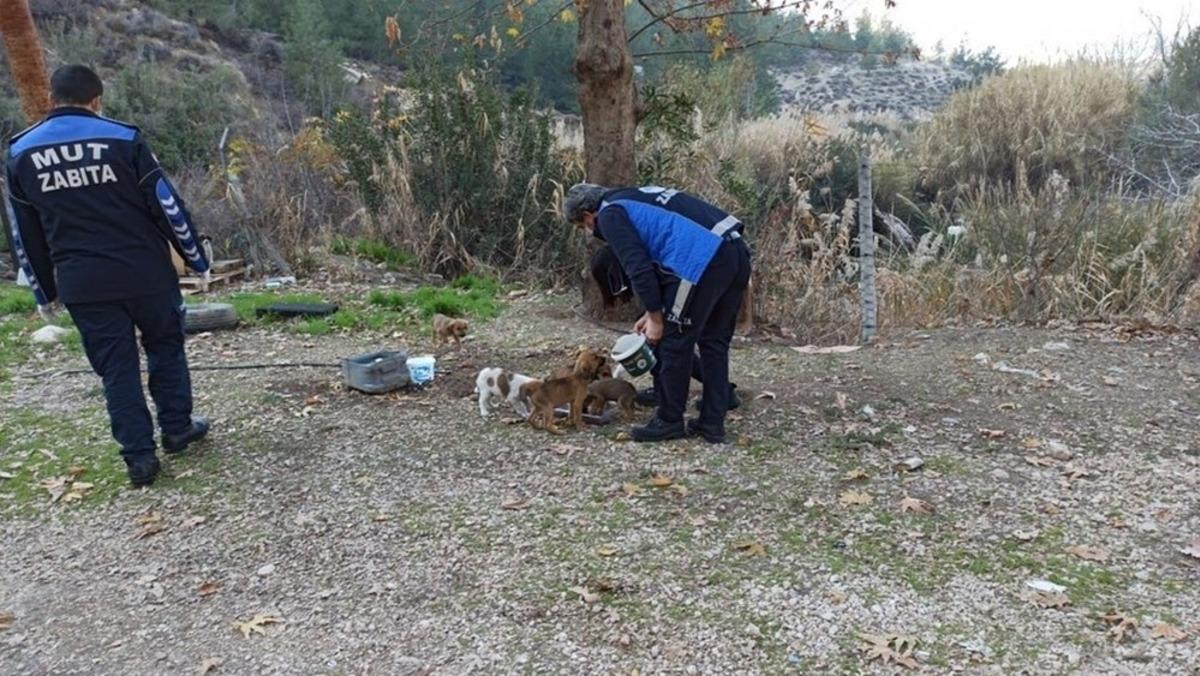 Mut&rsquo;ta sokak hayvanları unutulmadı