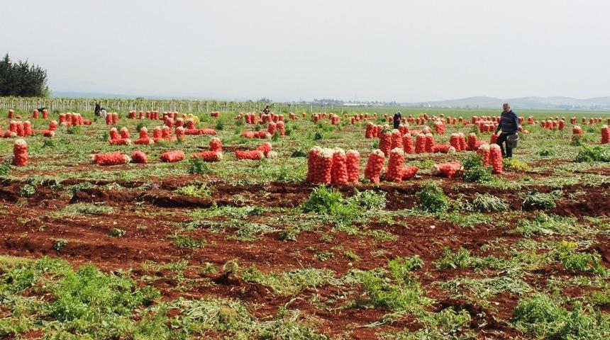Hatay&rsquo;da desteklenecek 13 &uuml;r&uuml;n belli oldu