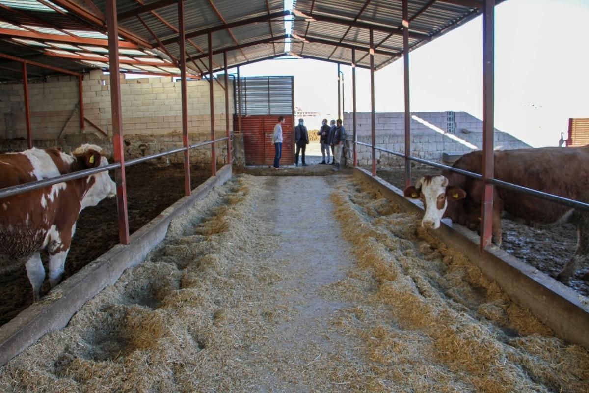 Talaslı &uuml;reticilere uzaktan eğitim, yerinde soru-cevap