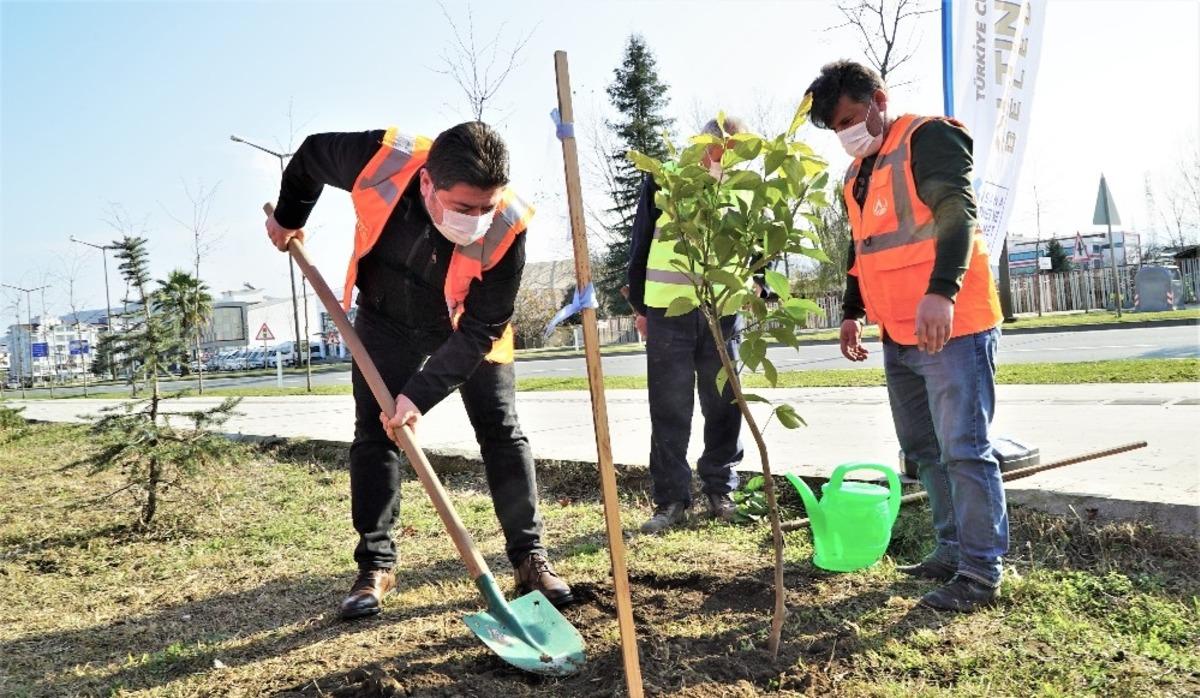 Altınordu&rsquo;da 52 bin fidan topakla buluşuyor