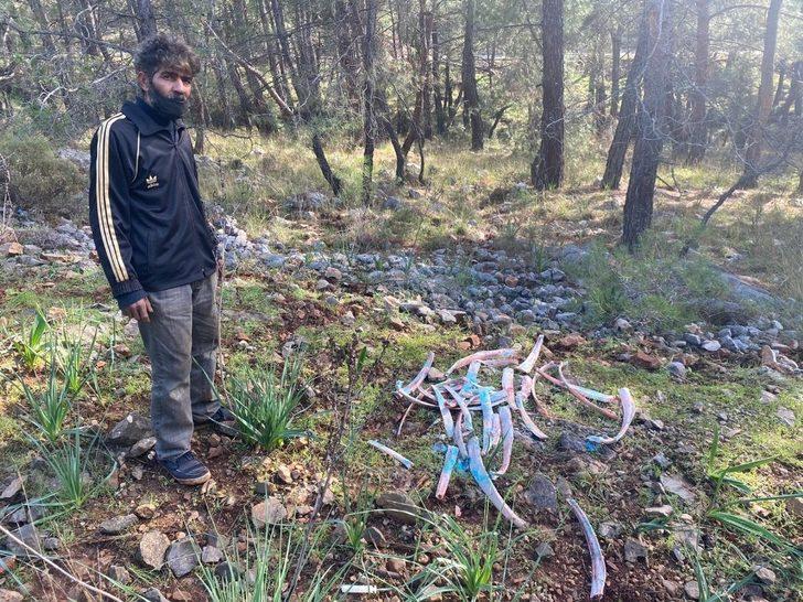 Ormanlık alanda zehirli kemikler bulundu G1