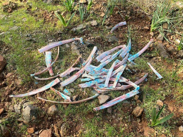 Ormanlık alanda zehirli kemikler bulundu G2