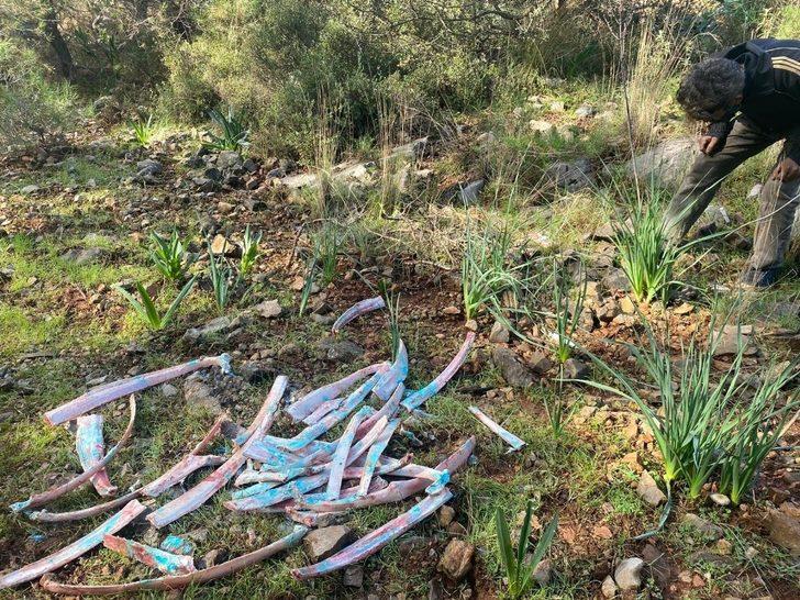 Ormanlık alanda zehirli kemikler bulundu G3