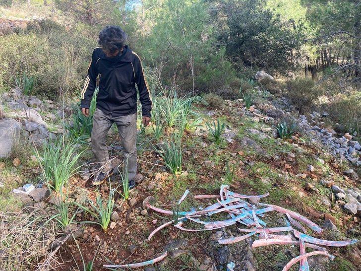 Ormanlık alanda zehirli kemikler bulundu G4