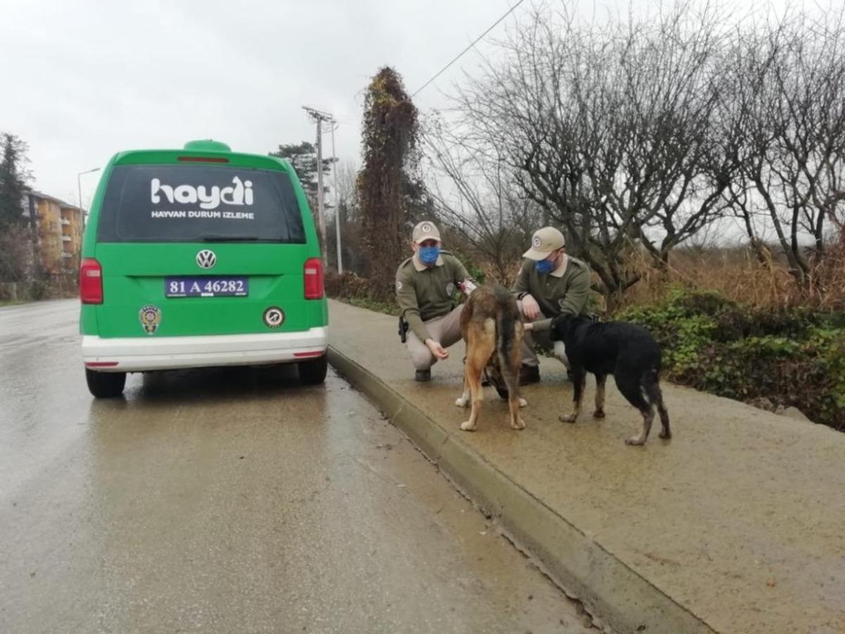 Kısıtlamada sokak hayvanlarını beslediler