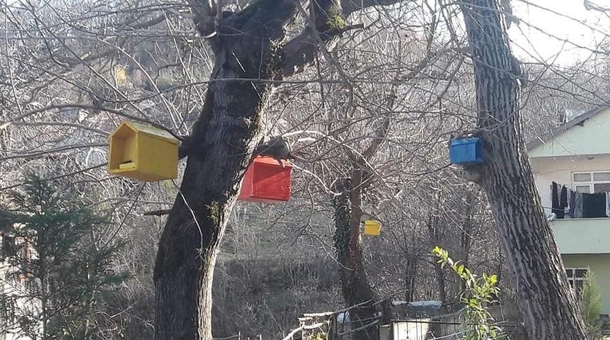 Cenaze tabutları, kuş yuvasına d&ouml;n&uuml;şt&uuml;